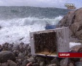 У Північному морі затонув корабель з двома українцями на борту